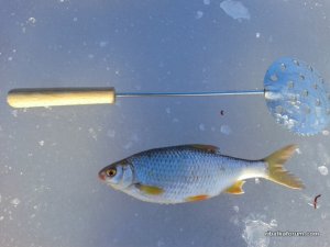20161211_134426.jpg