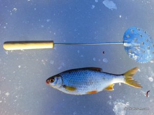 20161211_134426.jpg