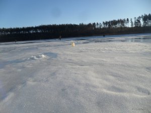 SAM_3459.JPG