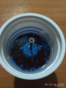 IMG_20161210_173241.jpg