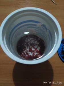 IMG_20161210_173823.jpg