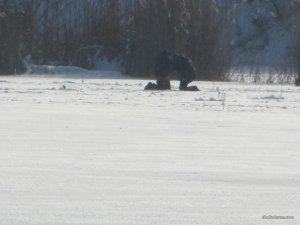 IMG_0833.JPG