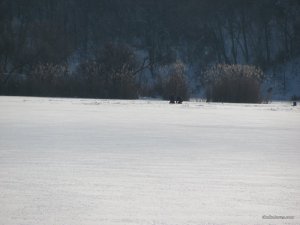 IMG_0834.JPG