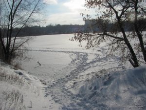 IMG_0835.JPG