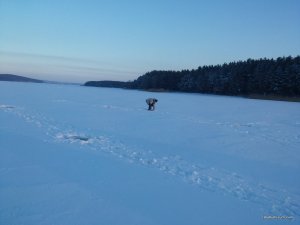 20161213_080230[1].jpg