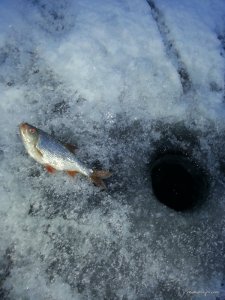 20161215_071726.jpg