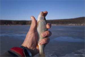 _MG_3378+.jpg