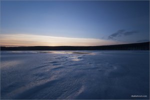 _MG_3614+.jpg
