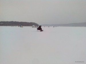 IMG_20161215_085644.jpg