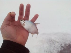 IMG_20161215_091813.jpg
