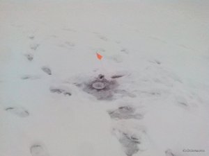 IMG_20161215_135701.jpg
