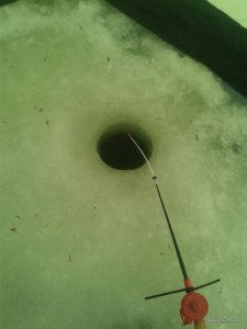 20161216_123038.jpg