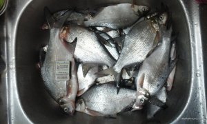 20161215_162205.jpg