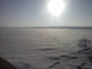 CAM00203.jpg