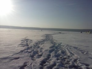 CAM00204.jpg