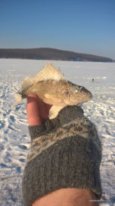 WP_20161216_12_03_19_Pro.jpg