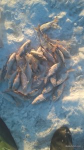 WP_20161216_14_08_04_Pro.jpg
