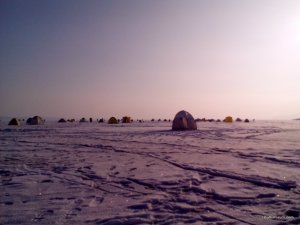 IMG_20161217_101129_1CS.jpg