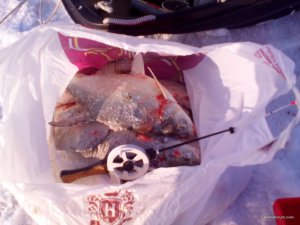 IMG_20161217_103132.jpg