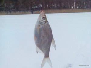 IMG_20161218_084826.jpg