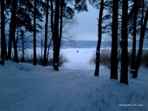 2016-12-17 07-04-16.JPG