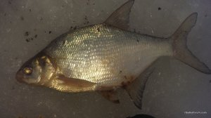 20161218_082642.jpg