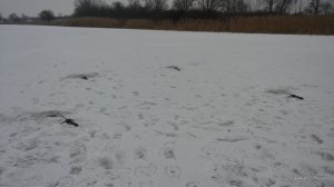 20161218_131156.jpg