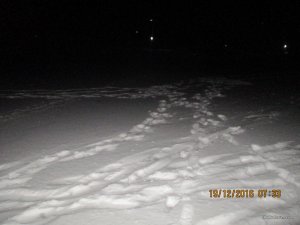 IMG_3367.JPG