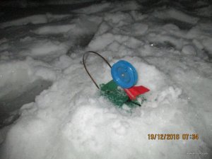 IMG_3370.JPG