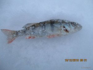 IMG_3371.JPG