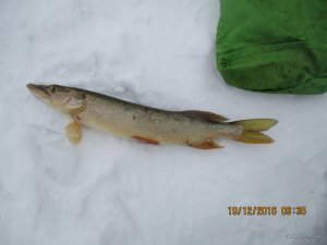 IMG_3372.JPG