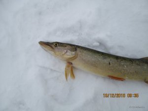 IMG_3373.JPG