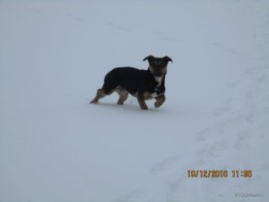 IMG_3375.JPG
