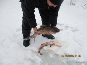 IMG_3378.JPG
