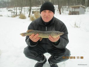 IMG_3381.JPG