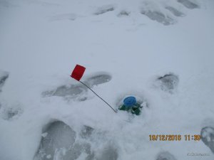 IMG_3382.JPG