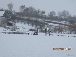 IMG_3384.JPG