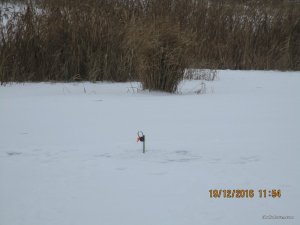 IMG_3385.JPG