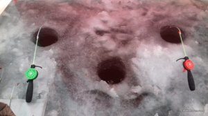 20161220_091945.jpg