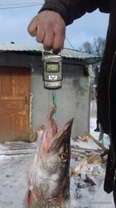 20161220_120943.jpg
