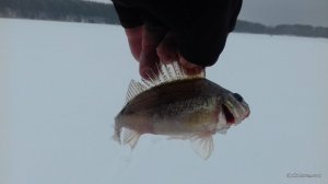 20161224_103919.jpg