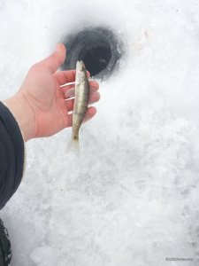 20161224_093613.jpg