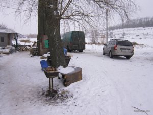 IMG_3342.JPG