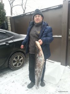 IMG_20161225_133422.jpg