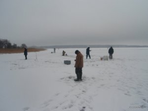 P1012432.JPG