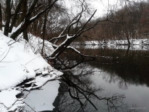 20161225_135728.jpg