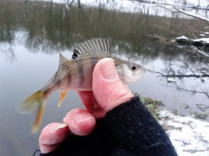 20161225_112009.jpg