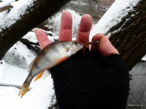 20161225_130306.jpg