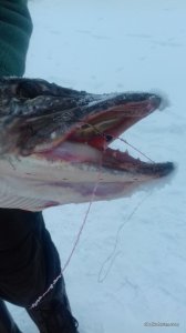 20161226_142910.jpg