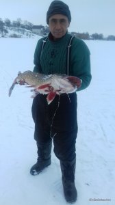 20161226_142849.jpg
